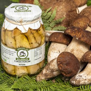 FUNGHI PORCINI INTERI