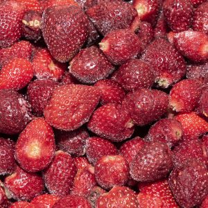 FRAGOLE