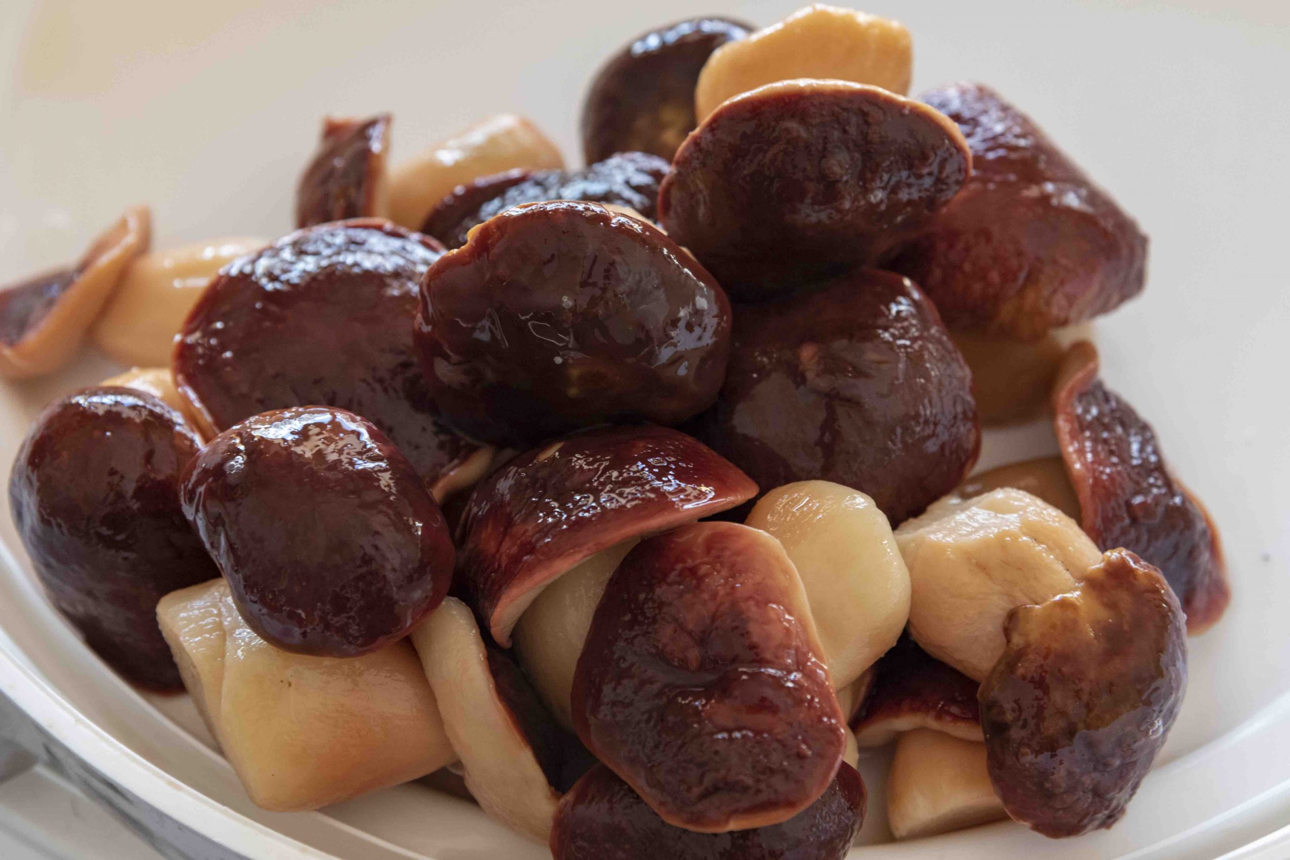 Funghi porcini testa rossa garniture(salamoia)