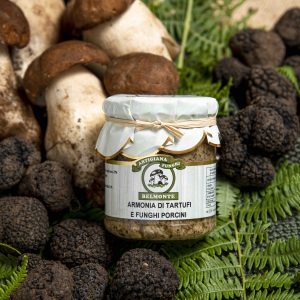 ARMONIA DI TARTUFI E FUNGHI PORCINI