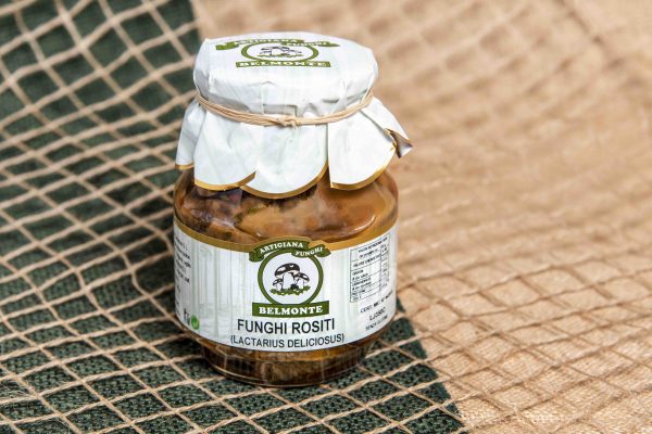 FUNGHI ROSITI - immagine 2