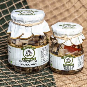 FUNGHI DI MUSCHIO