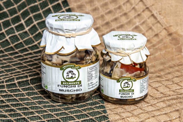 FUNGHI DI MUSCHIO