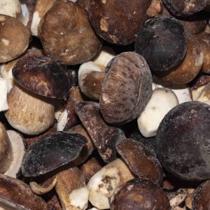 PORCINI CONGELATI IM