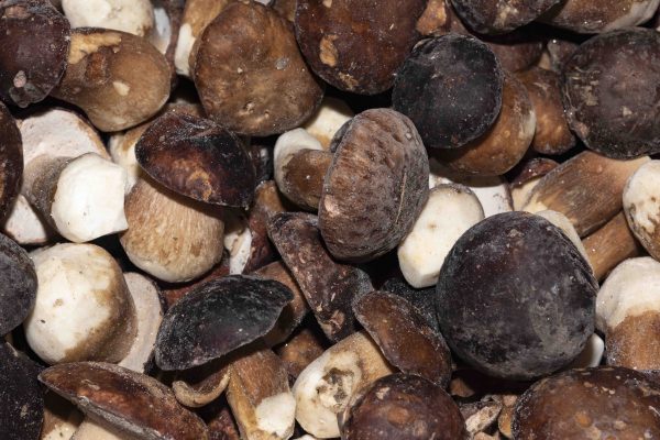 PORCINI CONGELATI IM
