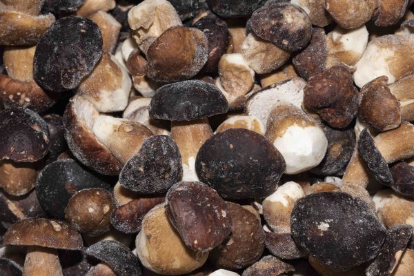PORCINI CONGELATI