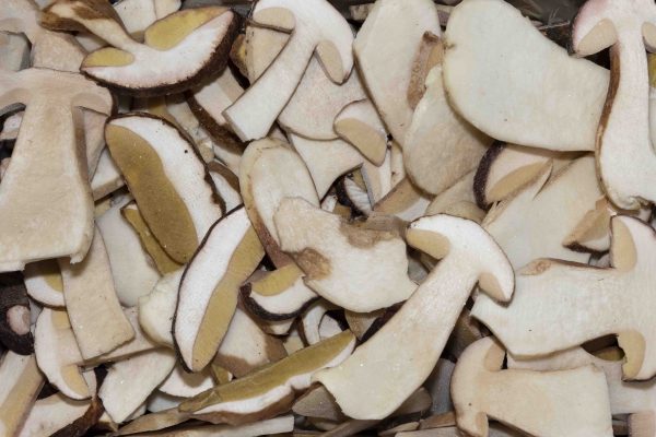 Porcini congelati a fette