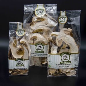 PORCINI SECCHI