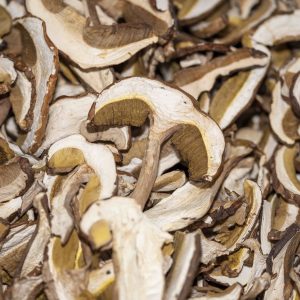 PORCINI SECCHI EXTRA