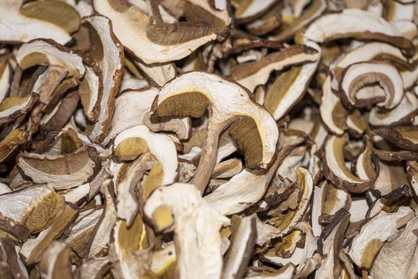 PORCINI SECCHI EXTRA