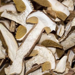 FUNGHI PORCINI EXTRA