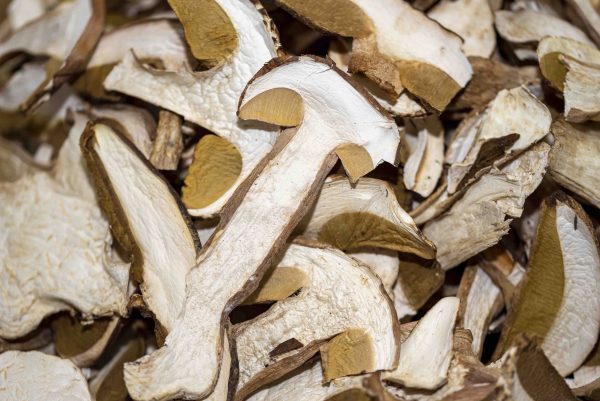 FUNGHI PORCINI EXTRA